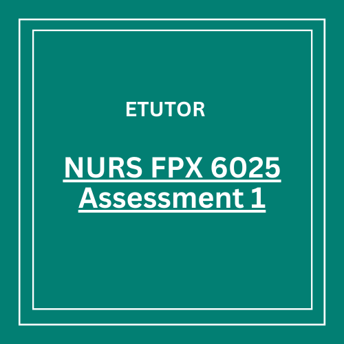 NURS FPX 6025 Assessment 1 MSN Practicum Conference Call Template